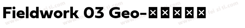 Fieldwork 03 Geo字体转换